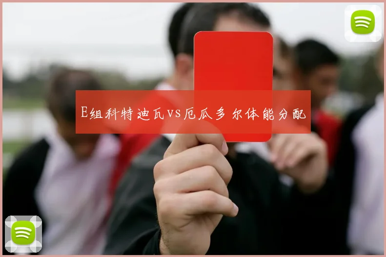 E组科特迪瓦vs厄瓜多尔体能分配